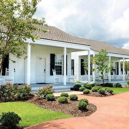 Nottoway Plantation And Resort White Castle Bagian luar foto