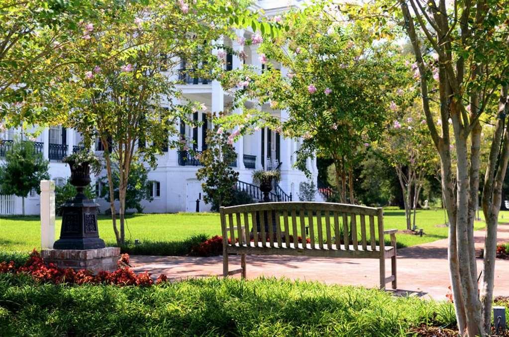 Nottoway Plantation And Resort White Castle Bagian luar foto