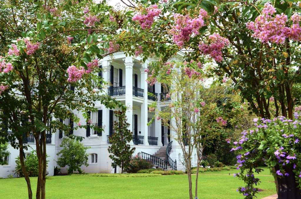Nottoway Plantation And Resort White Castle Bagian luar foto